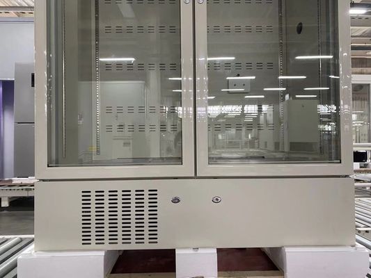 farmacia della doppia porta 656L e frigorifero del laboratorio con la porta di vetro e la luce interna del LED