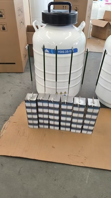 qualità  Portable Liquid Nitrogen Dry Shipper – Safe Transport of Cells and Tissues fabbrica