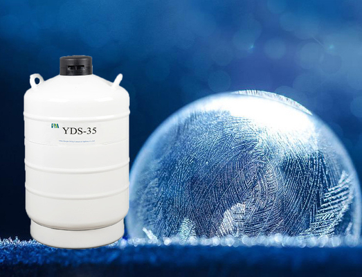 Conservazione di organismi attivi Contenitore di azoto liquido criogeno LN2 Serbatoio di contenitori