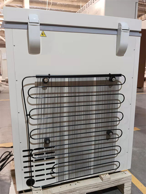 Meno vaccino biomedico un congelatore 100L Mini Portable Size da 86 gradi