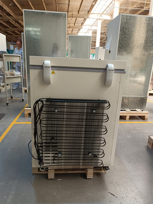 Meno vaccino biomedico un congelatore 100L Mini Portable Size da 86 gradi