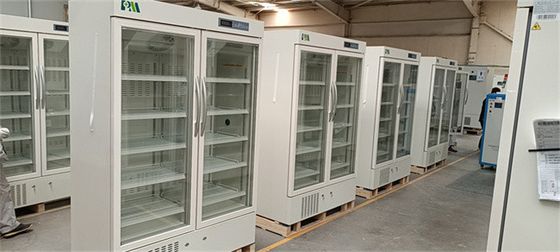 2-8 frigorifero biomedico della farmacia di grande capacità di grado 656L con la doppia porta di vetro per l'attrezzatura dell'ospedale