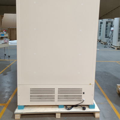 328 litri Capacità meno 40 gradi Free Standing Biomedical Deep Freezer Per lo stoccaggio dei vaccini