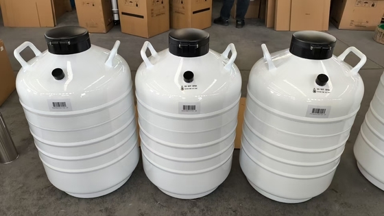 Contenitore criogenico da 35L per il trasporto a secco di campioni biologici con azoto liquido