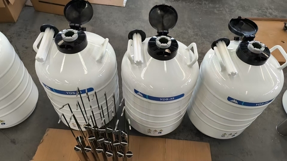 Contenitore criogenico da 35L per il trasporto a secco di campioni biologici con azoto liquido