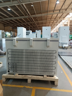 MDF-40H305 -40℃ Congelatore a Pozzo Biomedico 305L Grande Capacità Congelatore Profondo Medico per Virus, Sangue e Stoccaggio Laboratorio