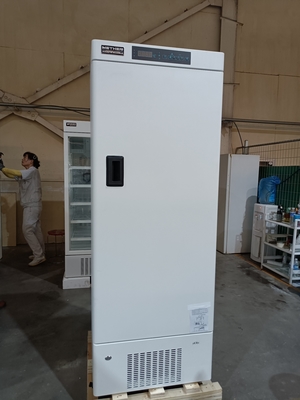 -40°C Biomedical Deep Freezer. Un congelatore medico verticale con 328 litri e 5 porte interne.