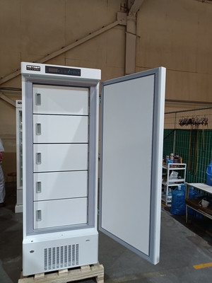 -40°C Biomedical Deep Freezer. Un congelatore medico verticale con 328 litri e 5 porte interne.
